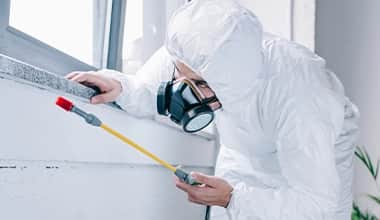 General Pest Control