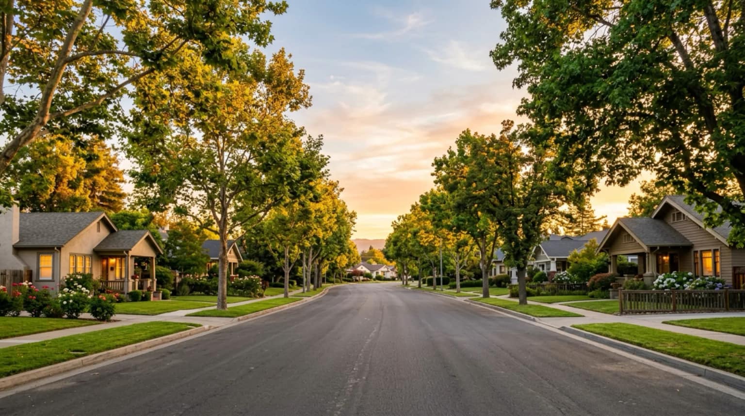 A peaceful Central California residential street lined with single-family homes