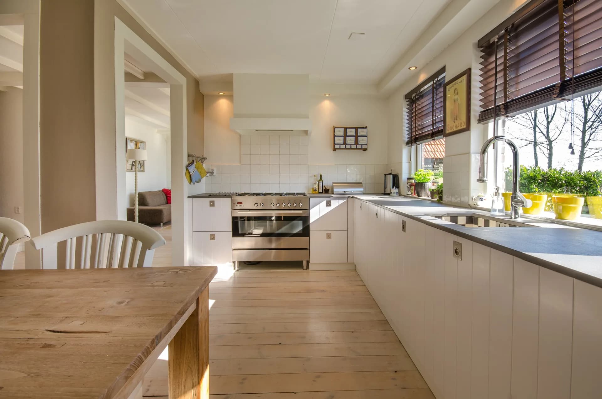 Clean, well-maintained kitchen in a Central California home kept free of pests through prevention