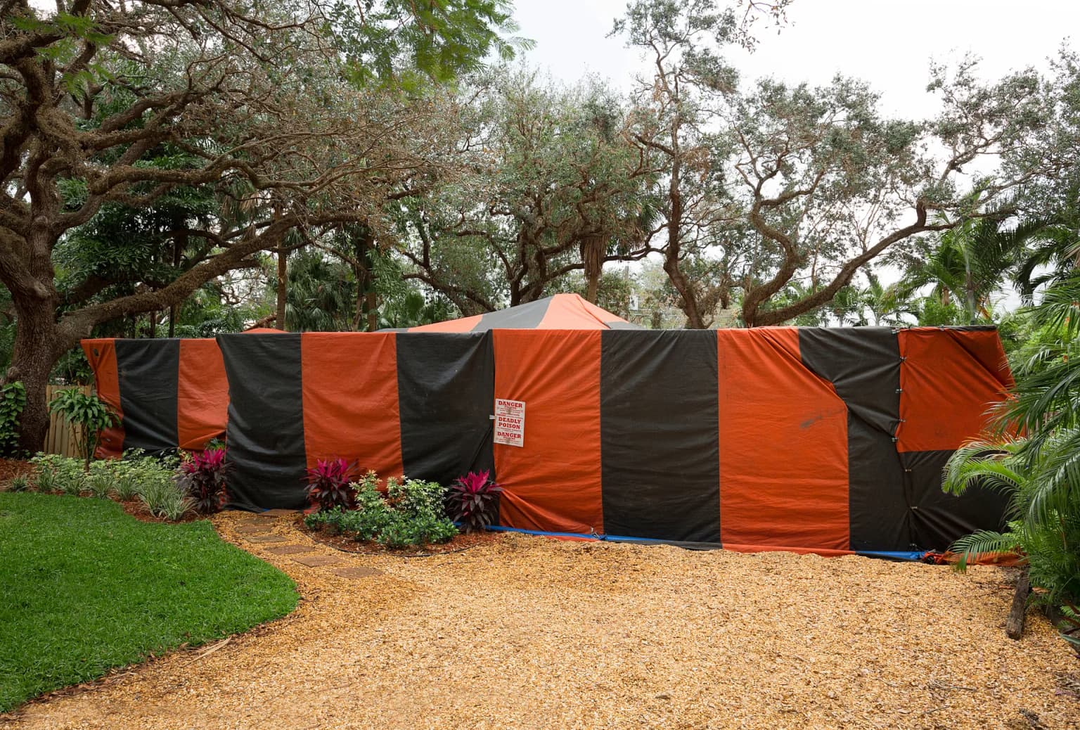 Home under orange and black fumigation tent for drywood termite treatment in California