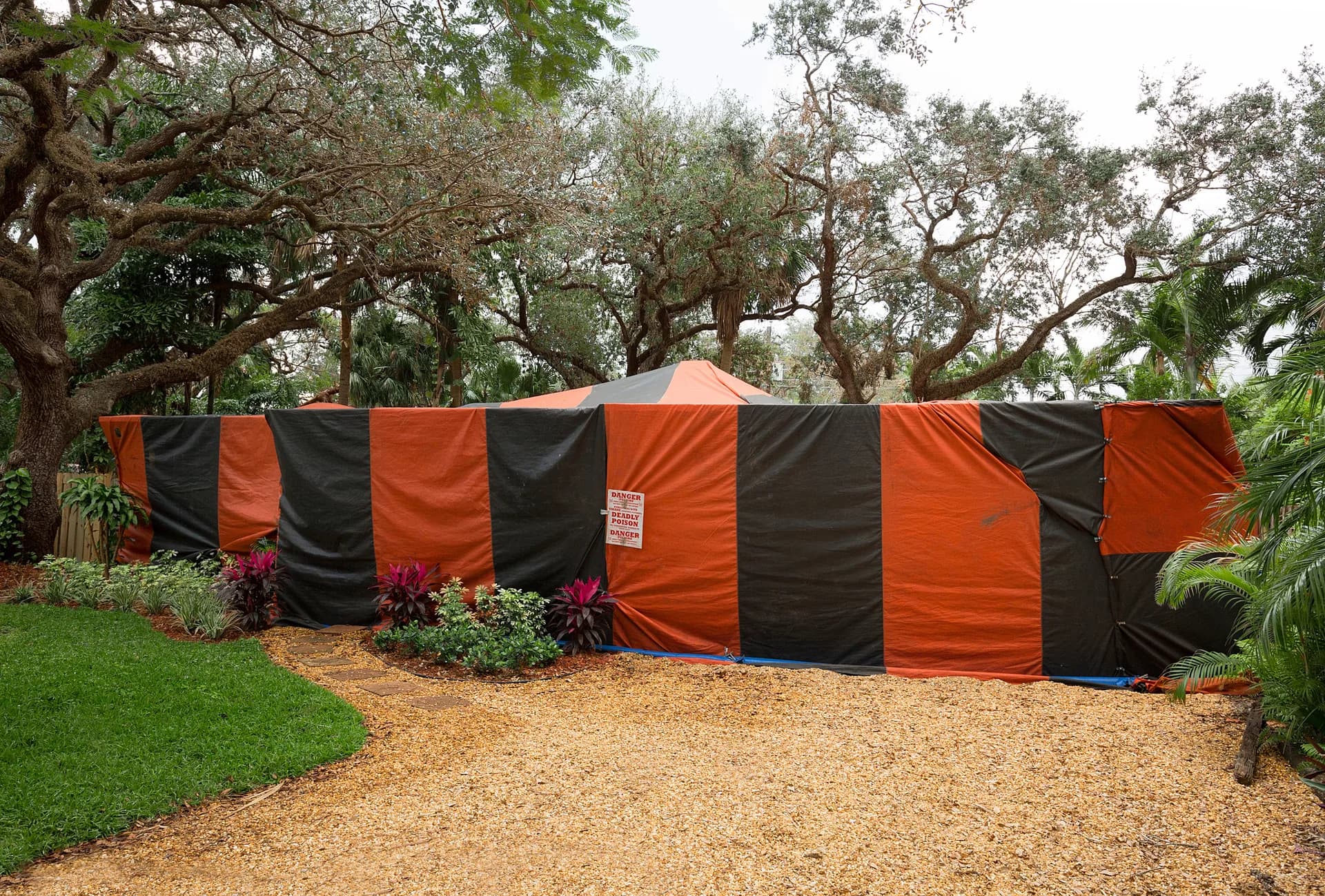 Home under an orange and black fumigation tent for drywood termite treatment in California