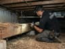 101 Exterminators licensed technician