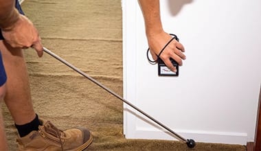 Termite Control