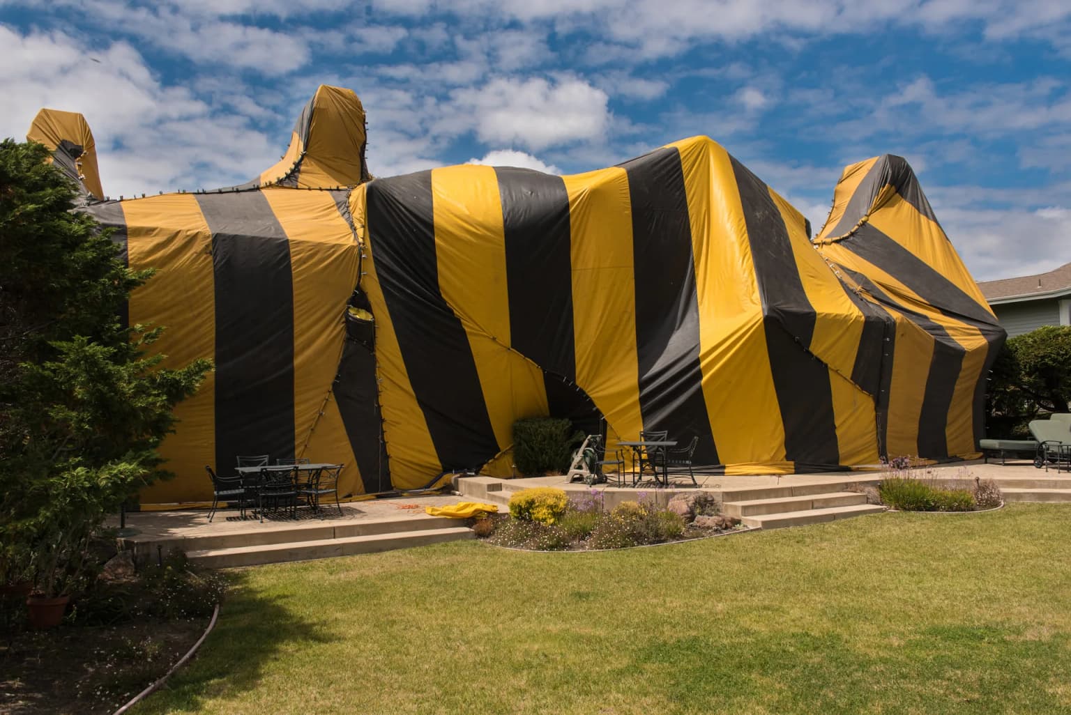 Fumigation tent on residential home — the sealed structure allows Vikane gas to penetrate every void and framing member