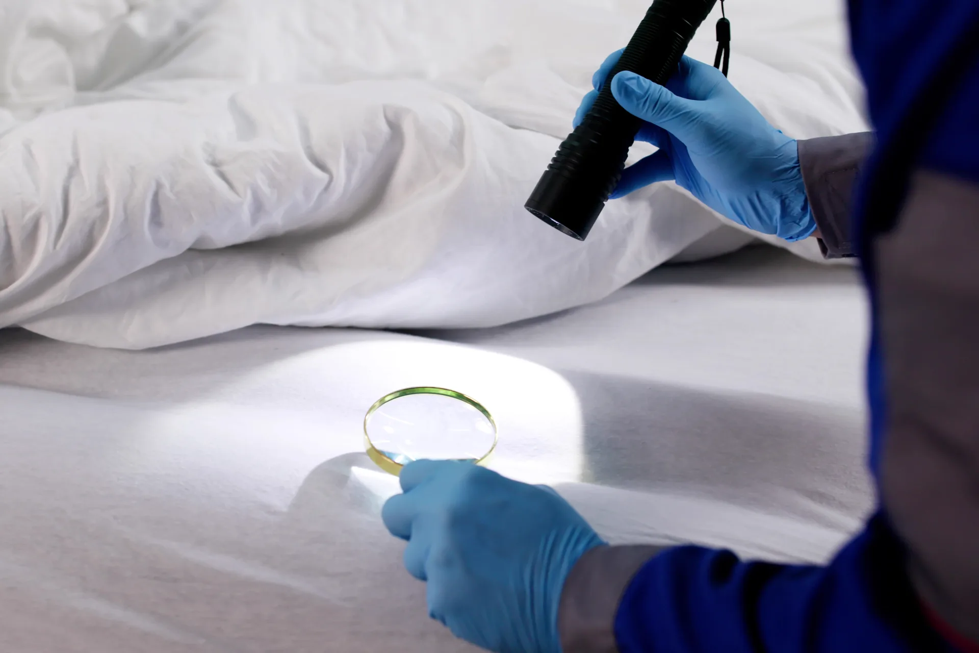 Pest control inspector examining mattress for bed bugs with flashlight and magnifying glass