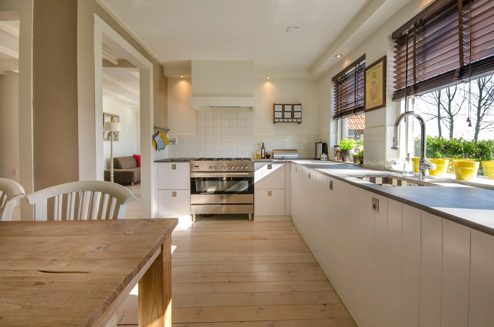 Clean, well-maintained kitchen in a Central California home kept free of pests through prevention