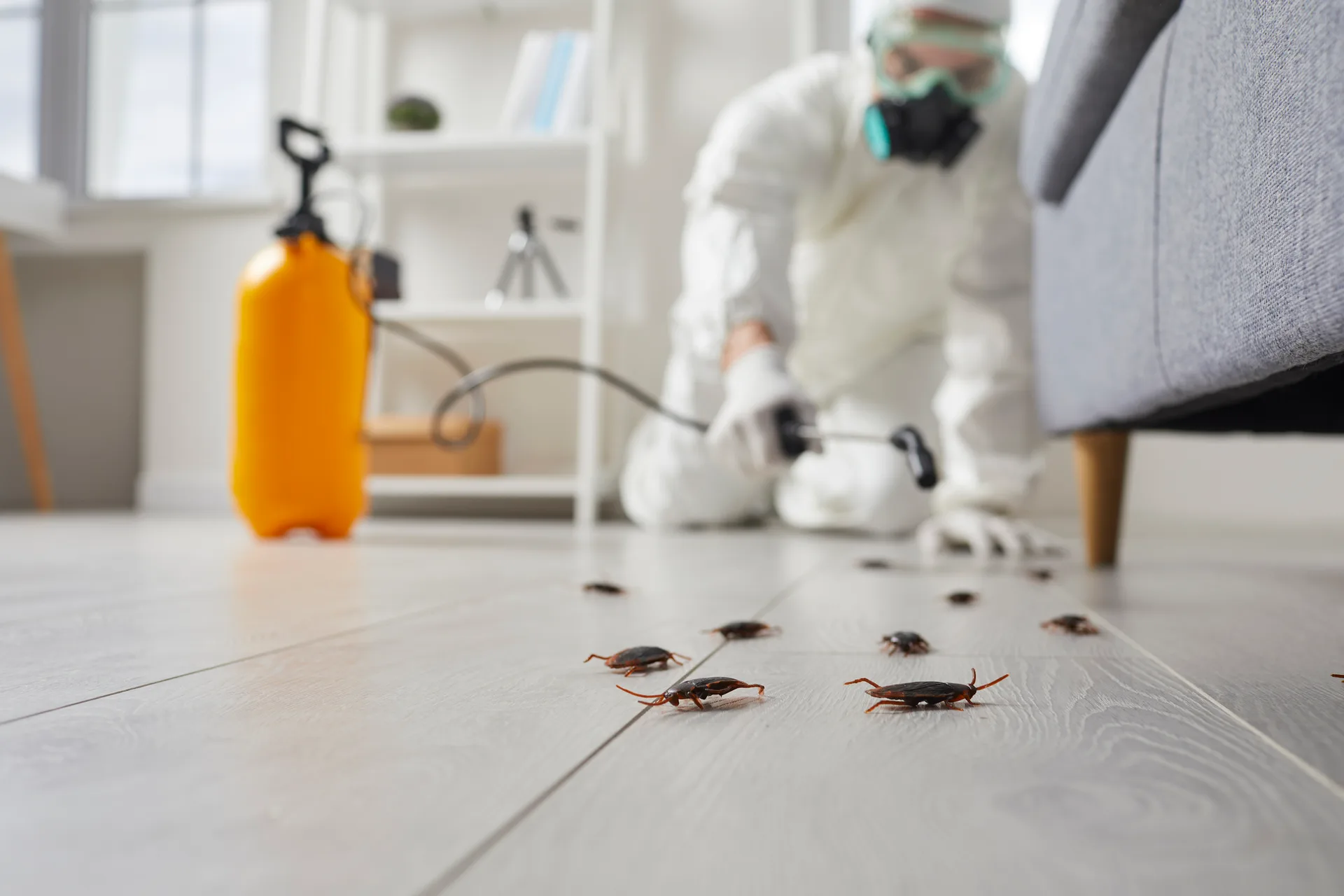Technician applying treatment along an interior surface