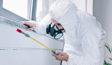 Pest control technician working along an interior wall