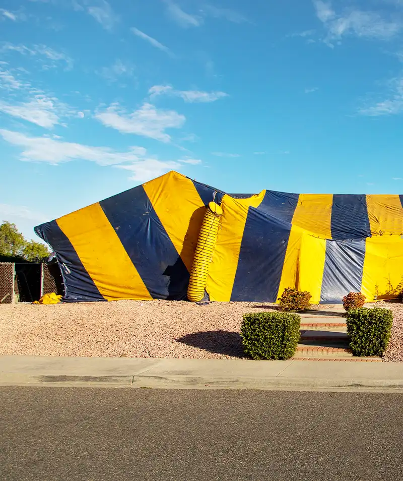 Image of a Home being Fumigated by the 101Exterminators