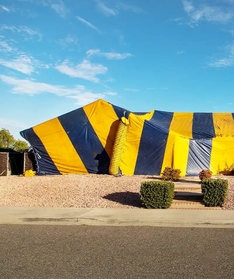 Fumigation Tent from 101 Exterminators